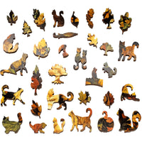 Nautilus Puzzles