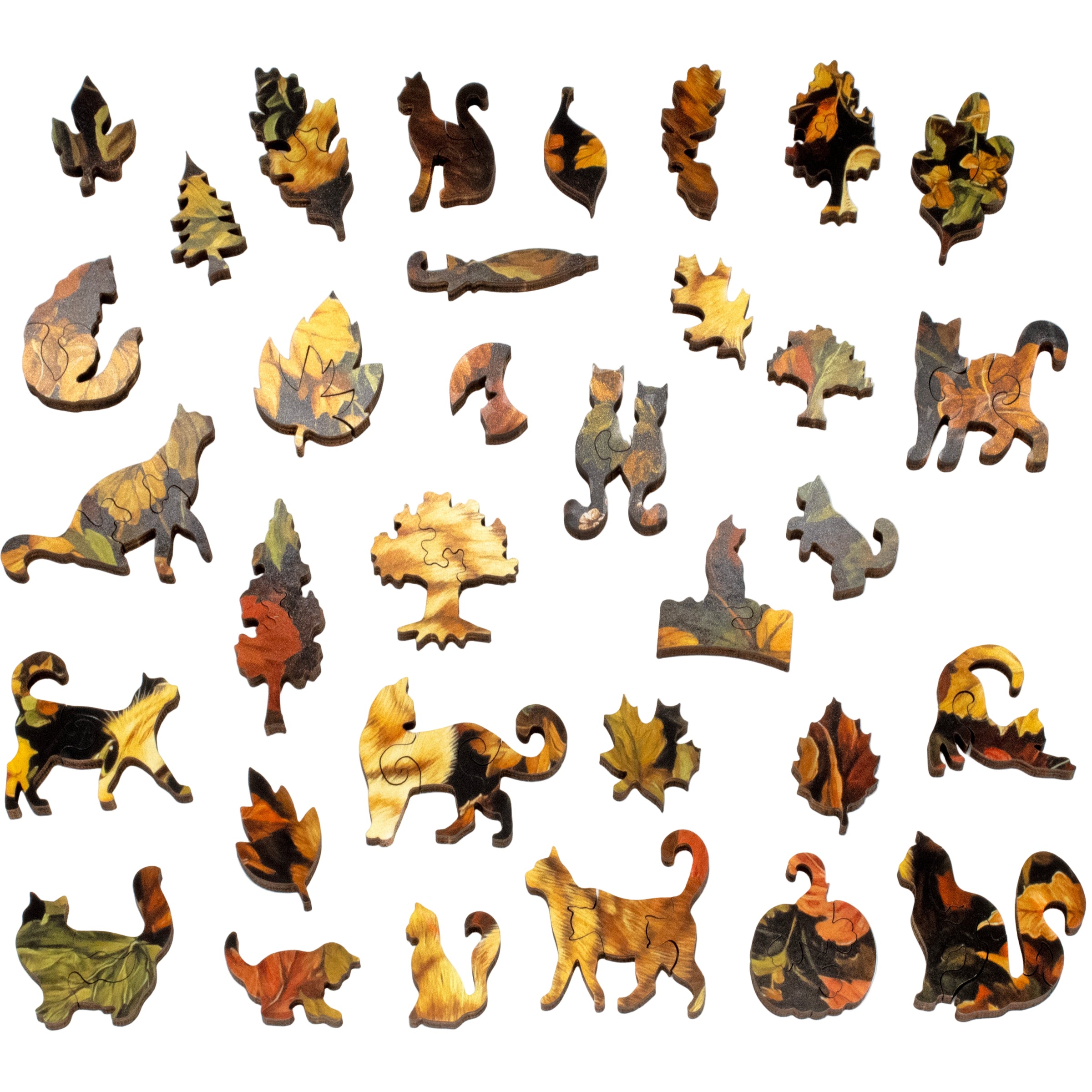 Nautilus Puzzles