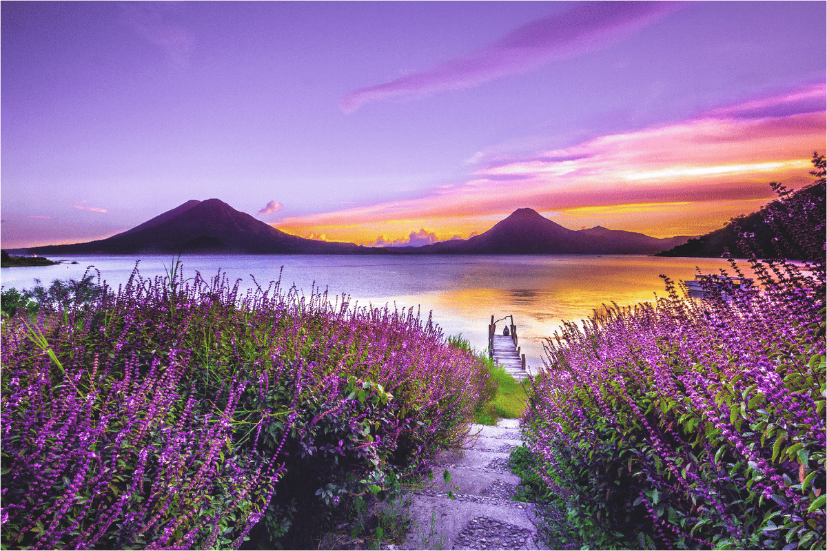 Mini Puzzle | Lavender Lane to the Lake | 69 Pieces - Nautilus Puzzles - Wooden Jigsaw Puzzles For Adults