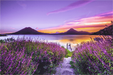Mini Puzzle | Lavender Lane to the Lake | 69 Pieces - Nautilus Puzzles - Wooden Jigsaw Puzzles For Adults