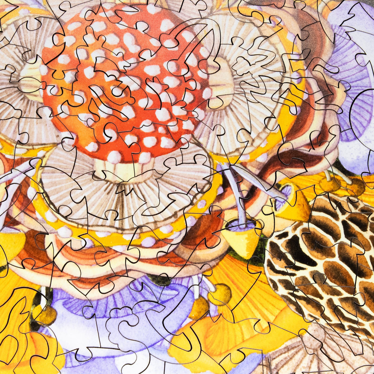 Mushroom Mandala (201 Piece Wooden Jigsaw Puzzle) - Nautilus Puzzles - Wooden Jigsaw Puzzles For Adults