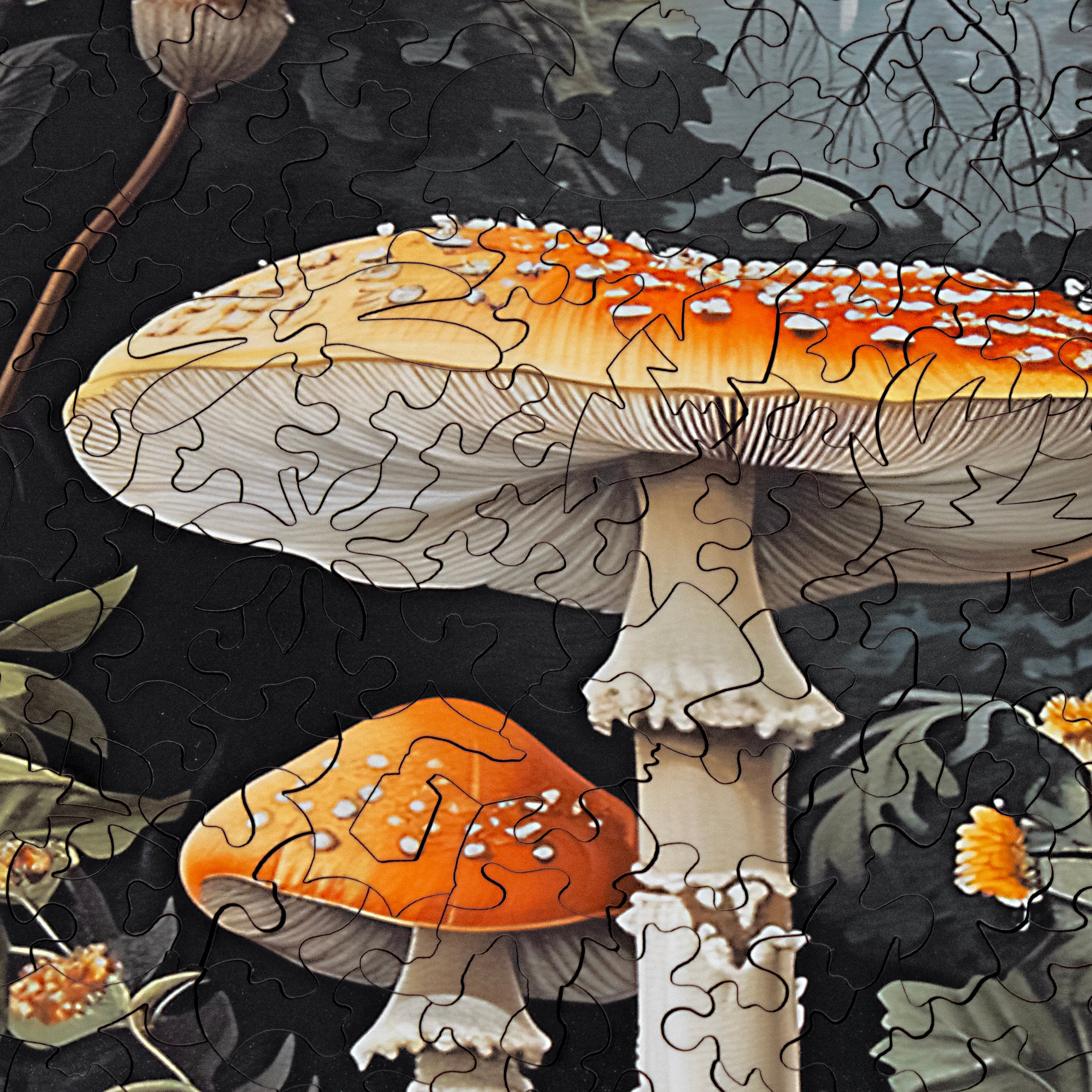 In the Mushroom Forest (475 Piece Wooden Jigsaw Puzzle)