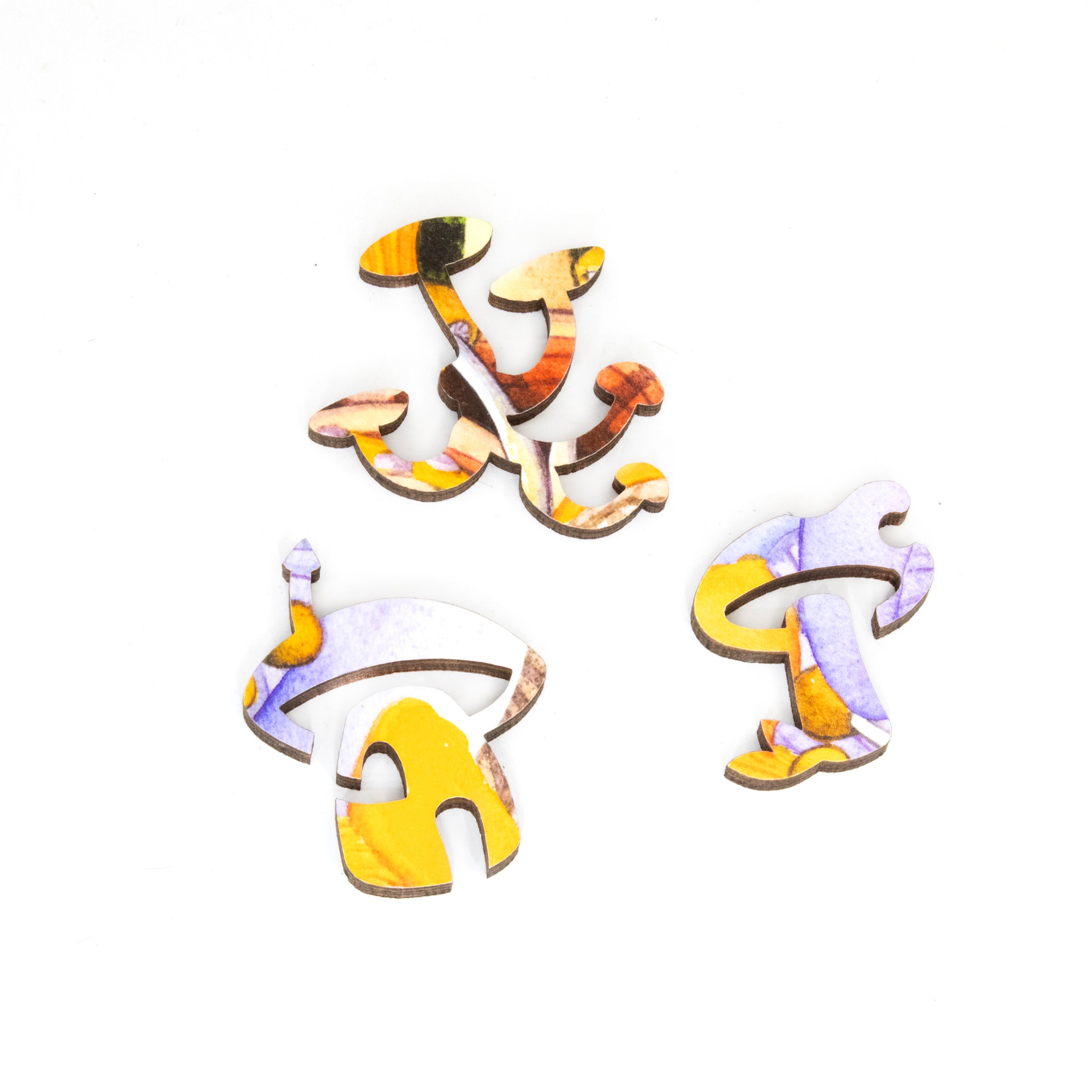 Artifact wooden jigsaw puzzle