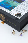 Wentworth wood puzzles