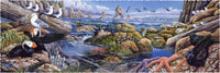 Pacific Northwest (500 Piece Wooden Jigsaw Puzzle) - Nautilus Puzzles - Wooden Jigsaw Puzzles For Adults