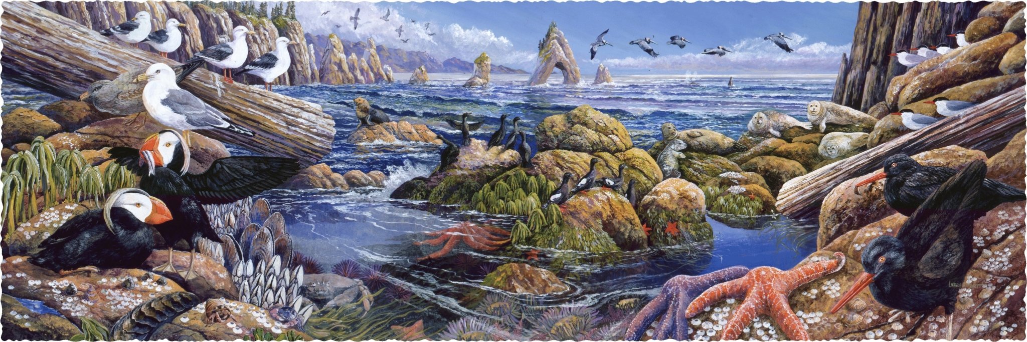 Pacific Northwest (500 Piece Wooden Jigsaw Puzzle) - Nautilus Puzzles - Wooden Jigsaw Puzzles For Adults