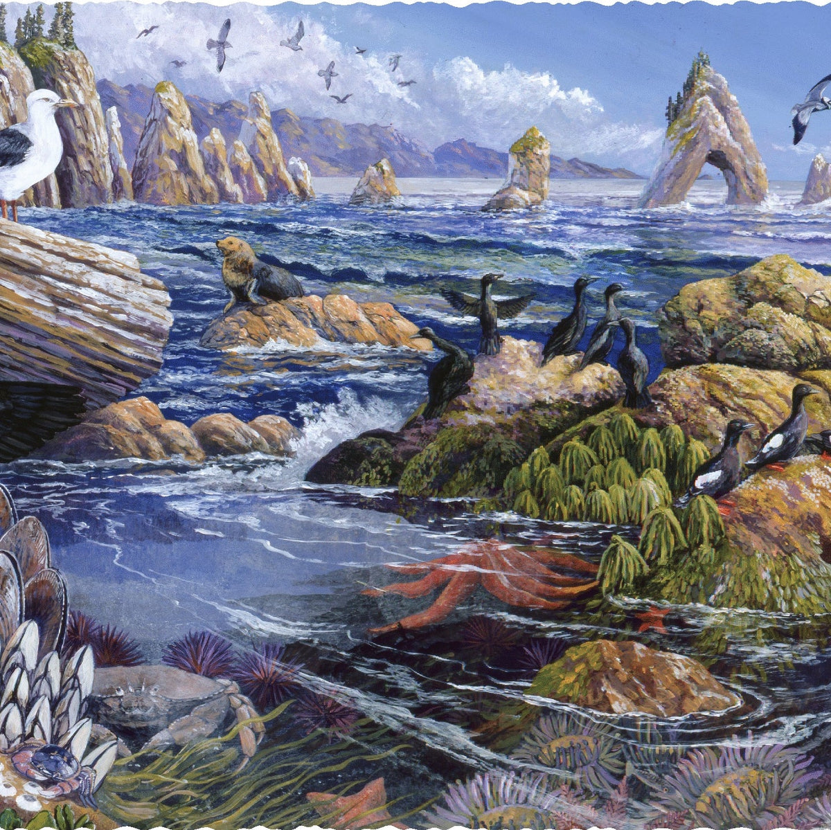 Pacific Northwest (500 Piece Wooden Jigsaw Puzzle) - Nautilus Puzzles - Wooden Jigsaw Puzzles For Adults