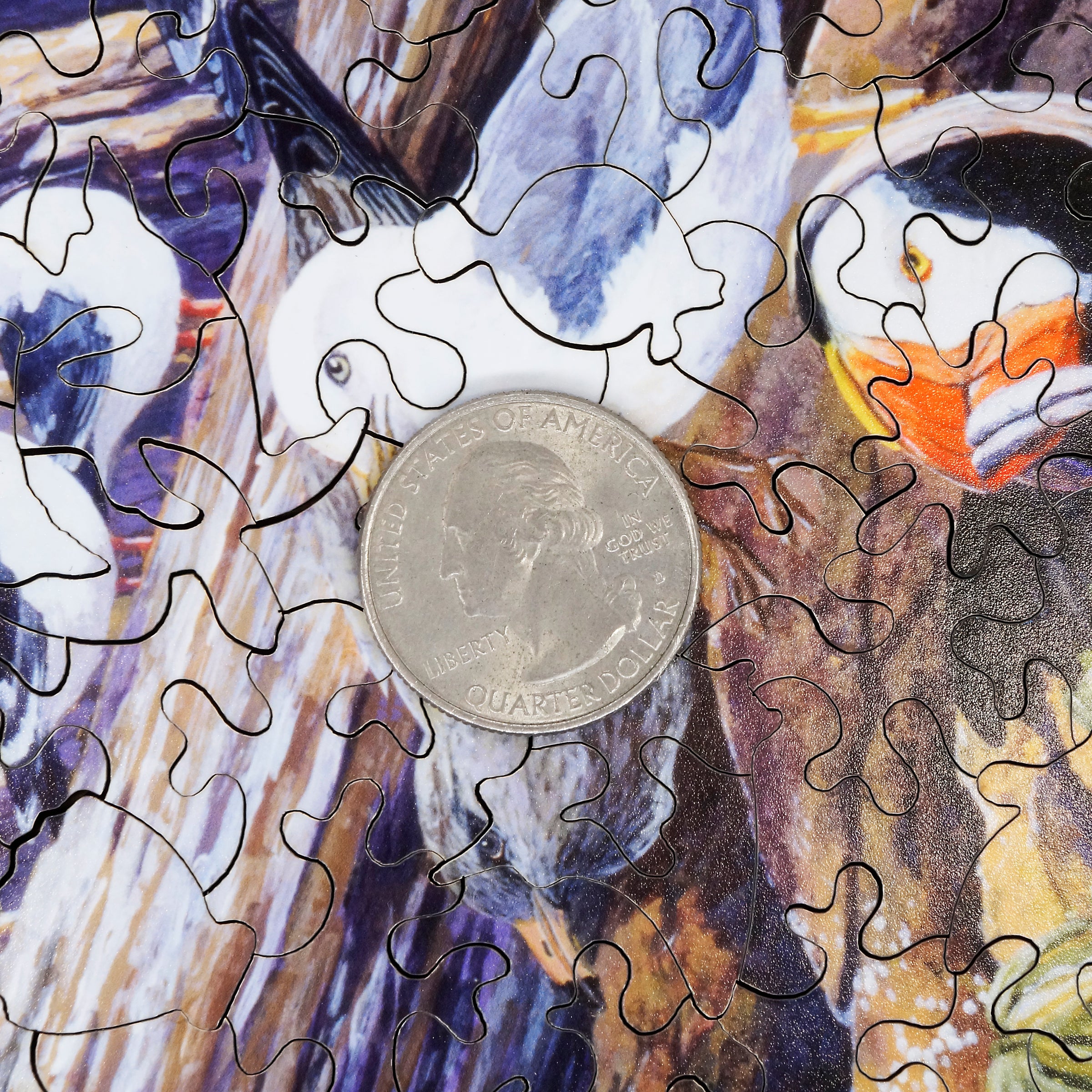 Wooden Jigsaw Puzzle