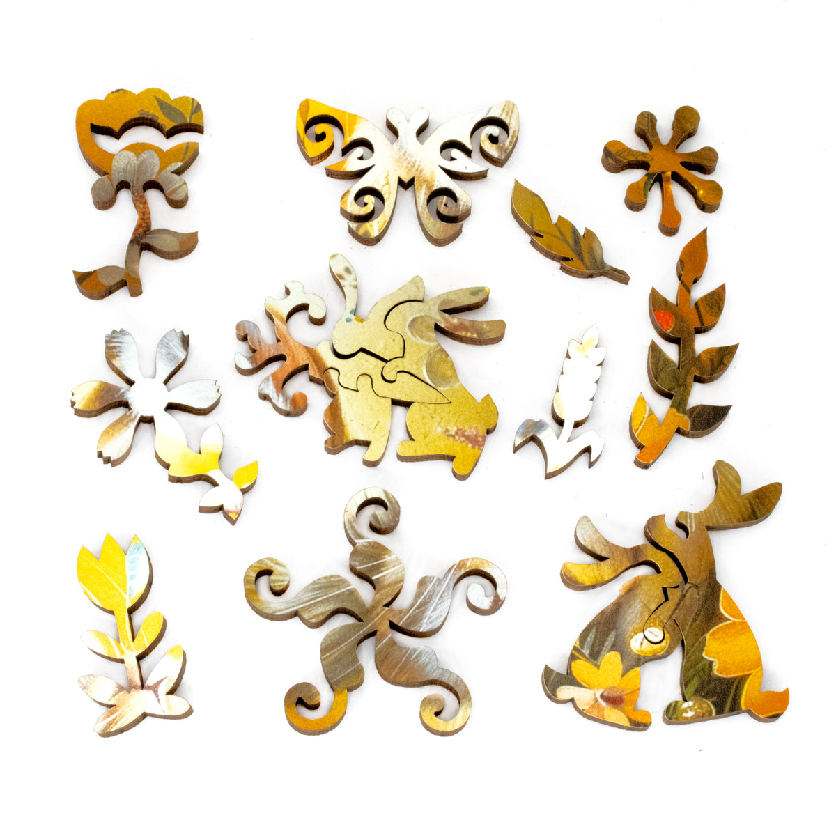 Nautilus Puzzles