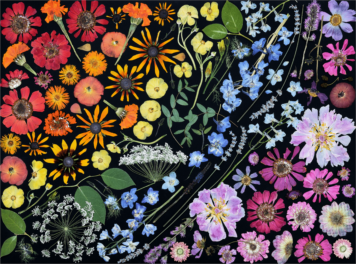Petal Prism (483 Piece Wooden Jigsaw Puzzle) - Nautilus Puzzles - Wooden Jigsaw Puzzles For Adults