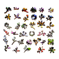 Nautilus Puzzles 