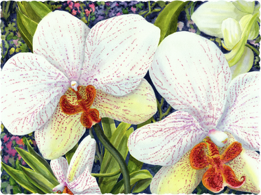 Phalaenopsis (199 Piece Wooden Jigsaw Puzzle) - Nautilus Puzzles - Wooden Jigsaw Puzzles For Adults