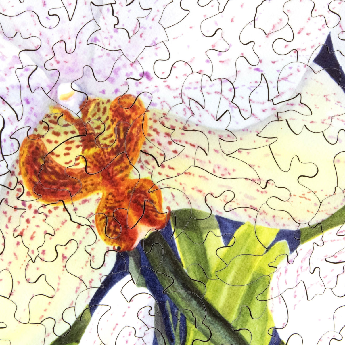 Phalaenopsis (199 Piece Wooden Jigsaw Puzzle) - Nautilus Puzzles - Wooden Jigsaw Puzzles For Adults