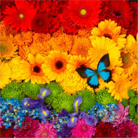 Rainbow Flowers (462 Piece Wooden Jigsaw Puzzle) - Nautilus Puzzles - Wooden Jigsaw Puzzles For Adults