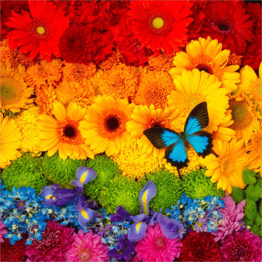 Rainbow Flowers (462 Piece Wooden Jigsaw Puzzle) - Nautilus Puzzles - Wooden Jigsaw Puzzles For Adults