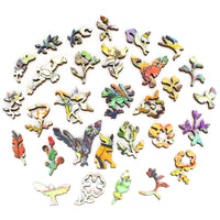 Nautilus Puzzles