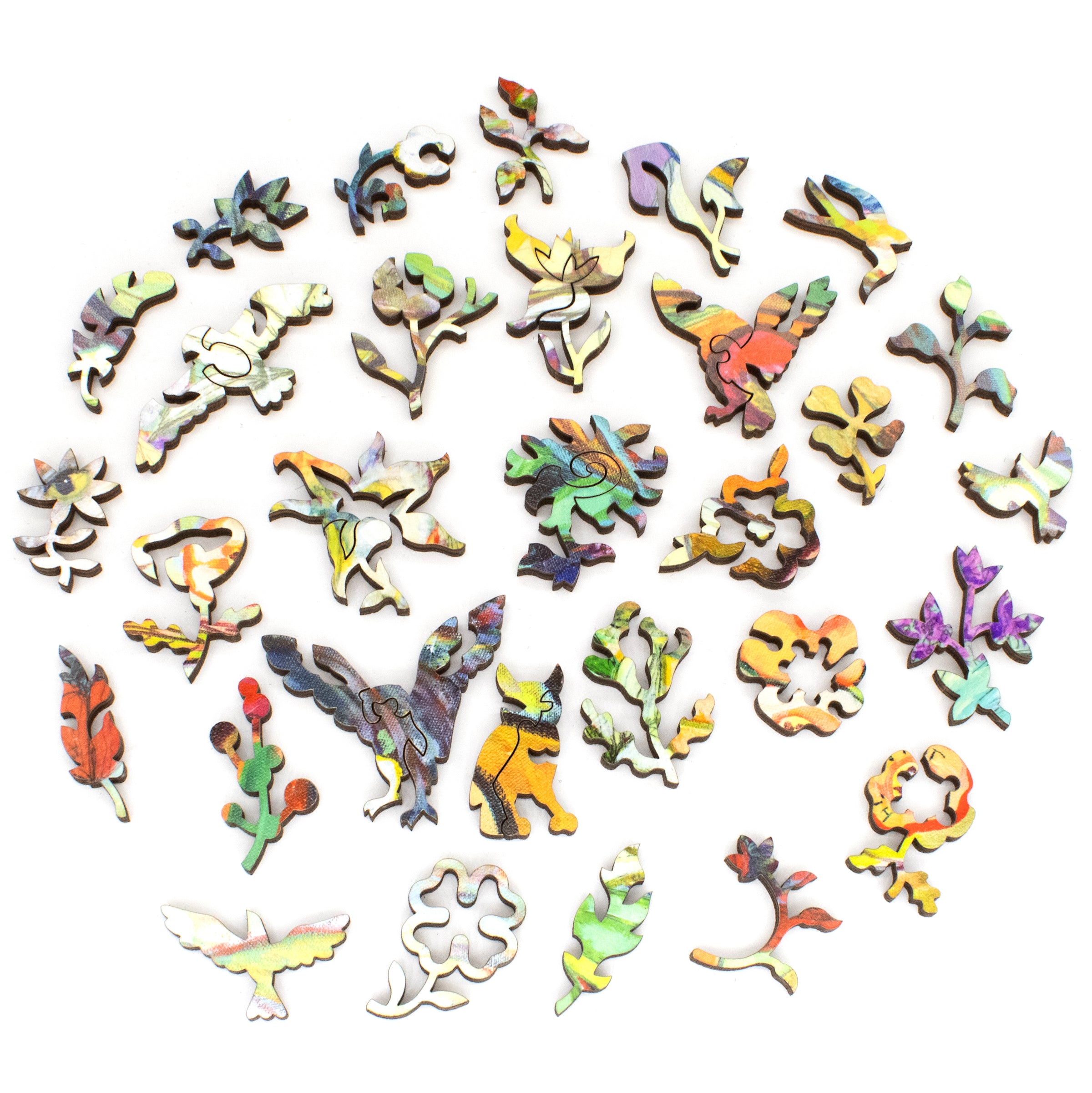 Nautilus Puzzles
