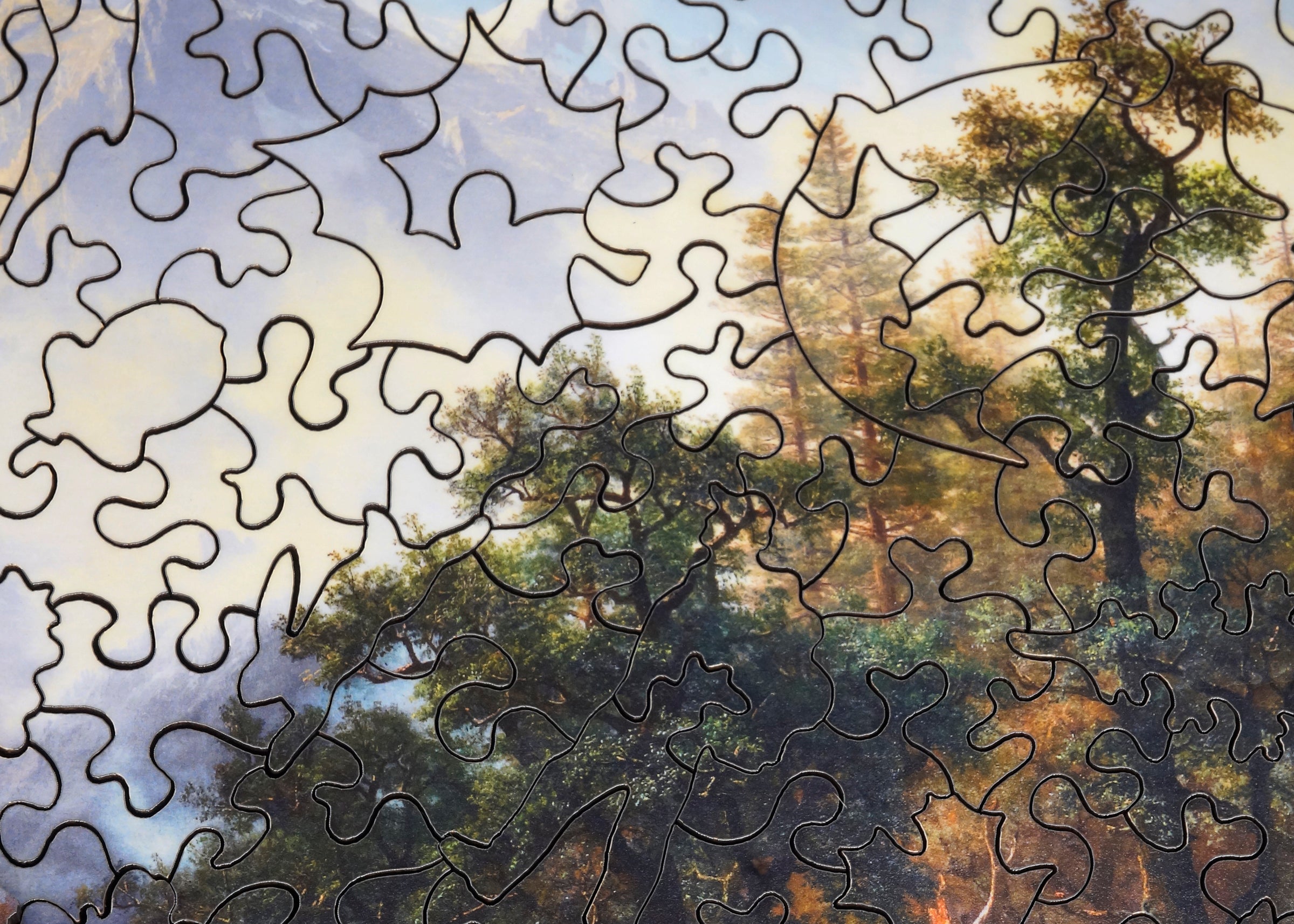 Mosaic wooden puzzle