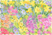 Spring Flowers (50 Piece Wooden Jigsaw Puzzle) - Nautilus Puzzles - Wooden Jigsaw Puzzles For Adults