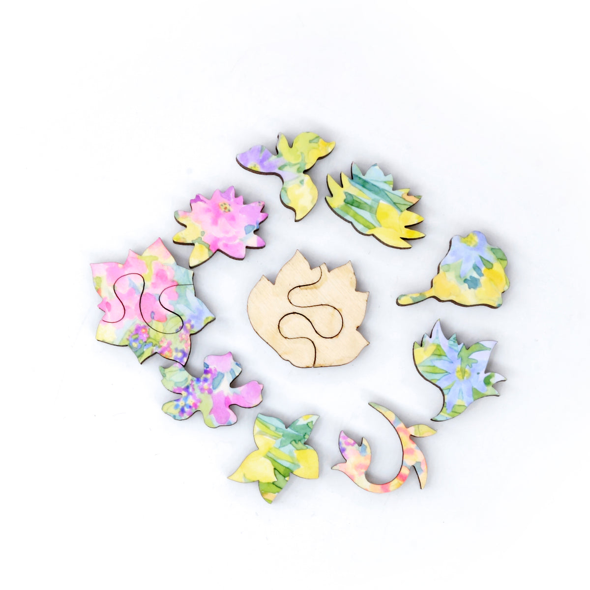 Nautilus Puzzles 