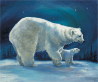 Star Bright - Polar Delight (54 Piece Mini Wooden Jigsaw Puzzle) - Nautilus Puzzles - Wooden Jigsaw Puzzles For Adults