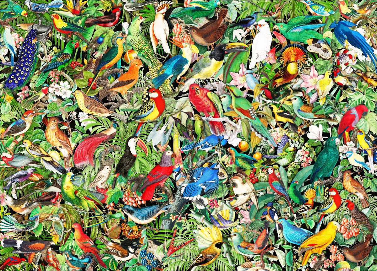 Symphony of Feathers (504 Piece Wooden Jigsaw Puzzle) - Nautilus Puzzles - Wooden Jigsaw Puzzles For Adults