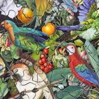 Symphony of Feathers (504 Piece Wooden Jigsaw Puzzle) - Nautilus Puzzles - Wooden Jigsaw Puzzles For Adults