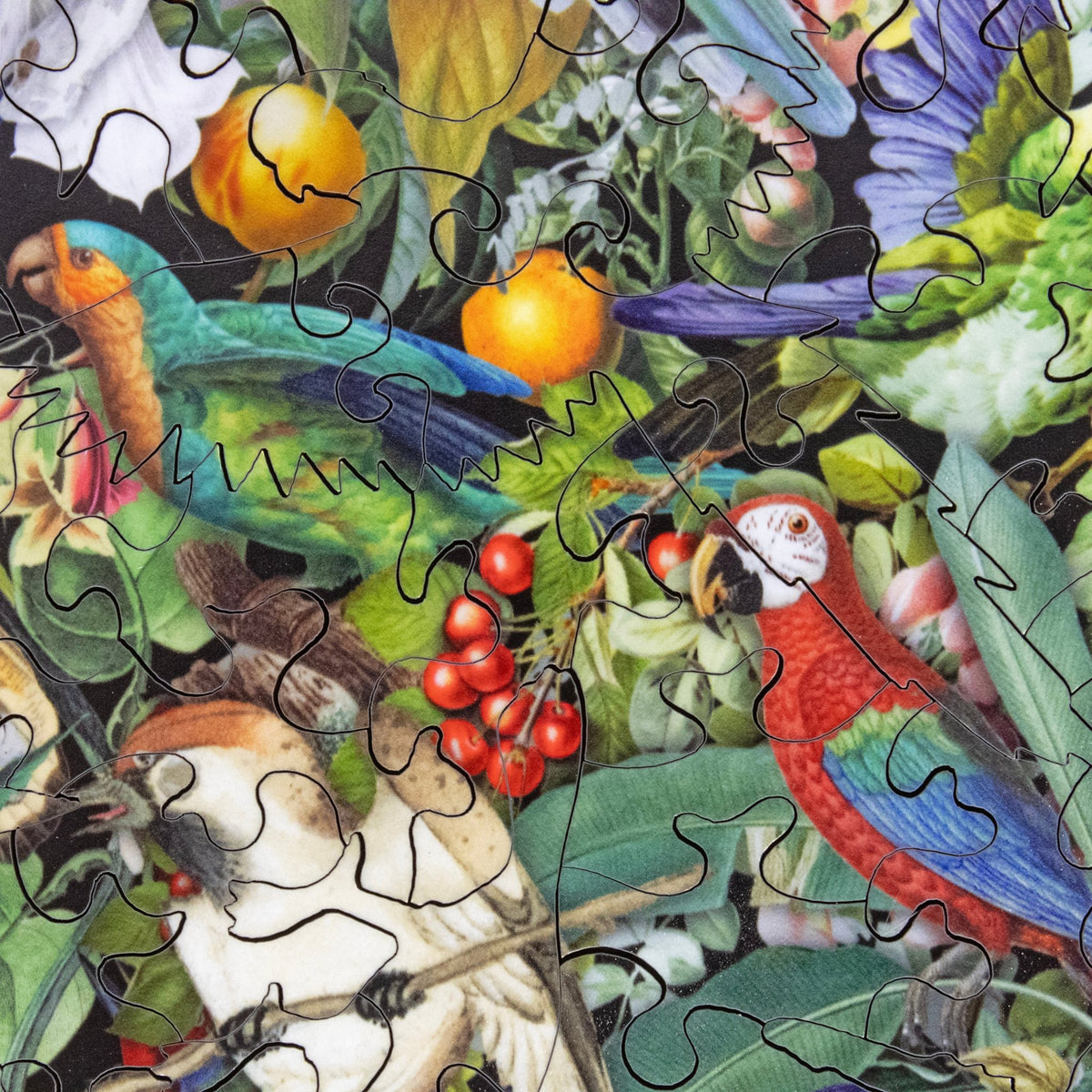 Symphony of Feathers (504 Piece Wooden Jigsaw Puzzle) - Nautilus Puzzles - Wooden Jigsaw Puzzles For Adults