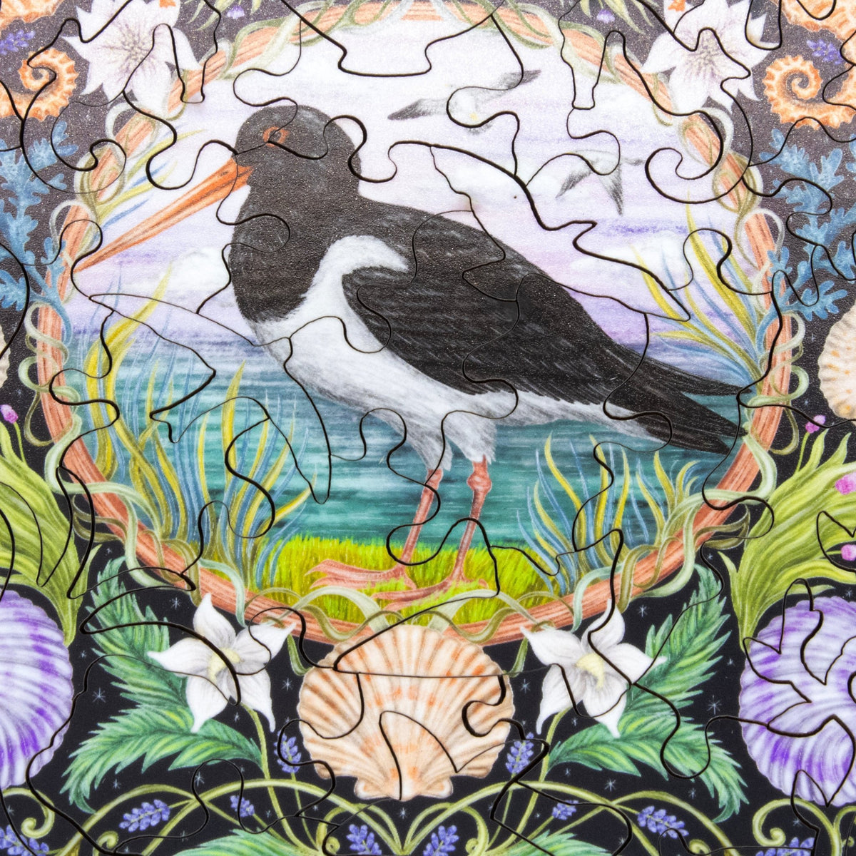 The Oyster Catcher (50 Piece Mini Wooden Jigsaw Puzzle) - Nautilus Puzzles - Wooden Jigsaw Puzzles For Adults