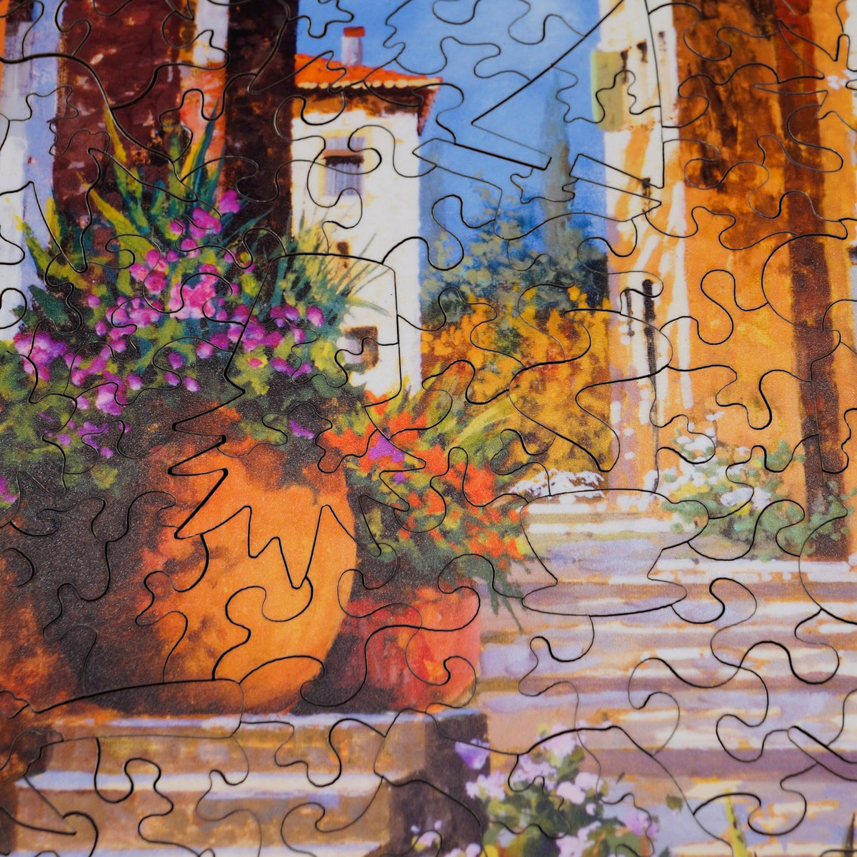 The Red Door (475 Piece Wooden Jigsaw Puzzle) - Nautilus Puzzles - Wooden Jigsaw Puzzles For Adults