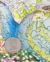 Nautilus Puzzles