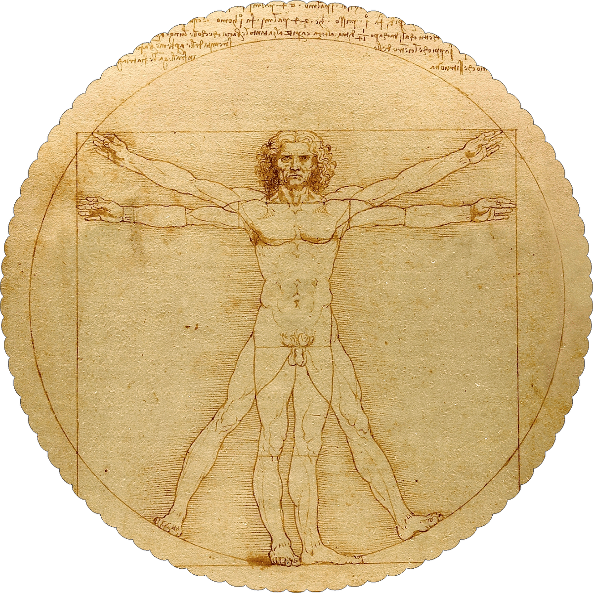 Vitruvian Man by Leonardo da Vinci (63 Piece Round Mini Wooden Jigsaw Puzzle) - Nautilus Puzzles - Wooden Jigsaw Puzzles For Adults