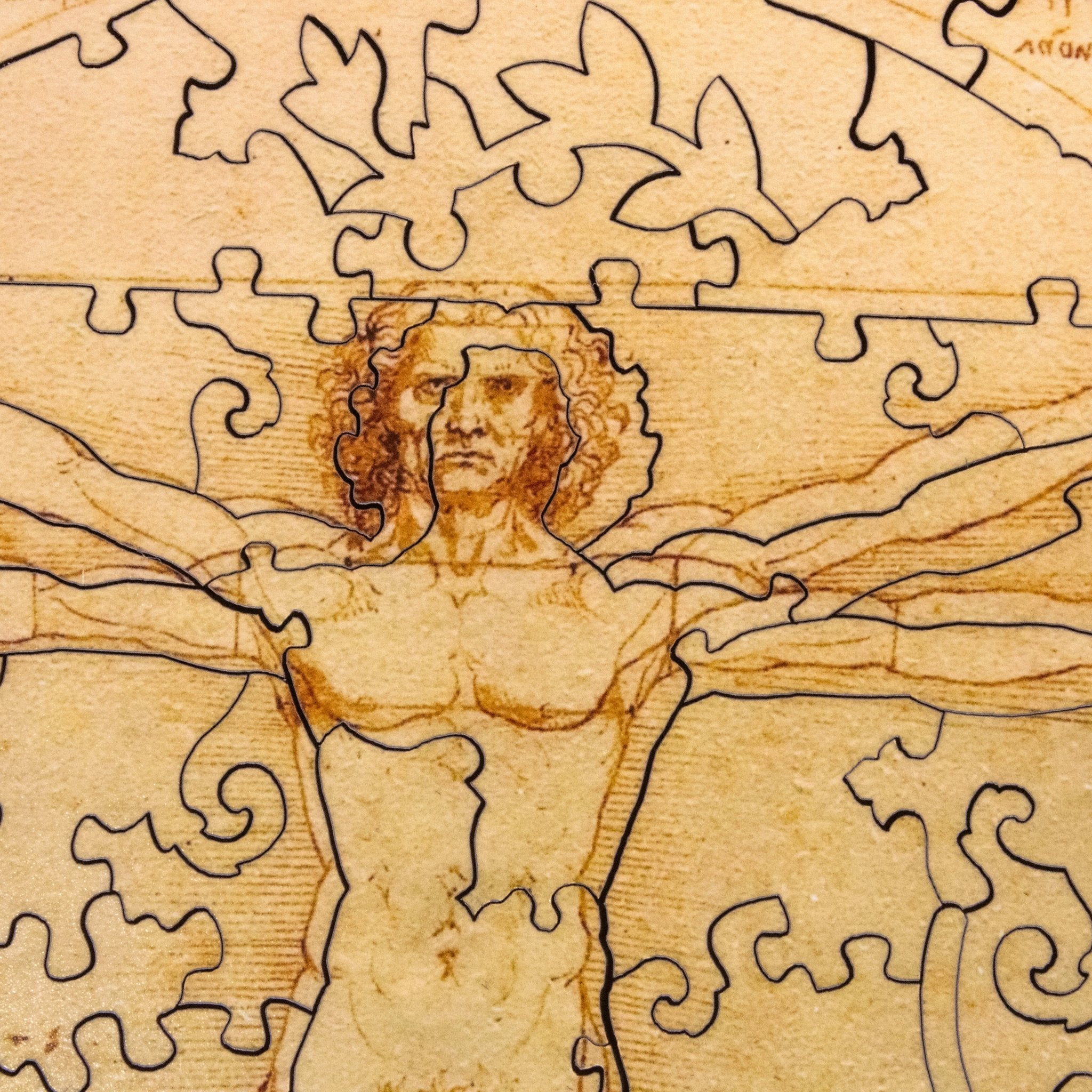 Vitruvian Man by Leonardo da Vinci (63 Piece Round Mini Wooden Jigsaw Puzzle) - Nautilus Puzzles - Wooden Jigsaw Puzzles For Adults