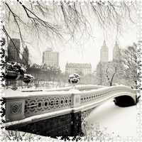 Winter's Touch - Central Park (407 Piece Wooden Jigsaw Puzzle) Extra Difficult - Nautilus Puzzles - Wooden Jigsaw Puzzles For Adults