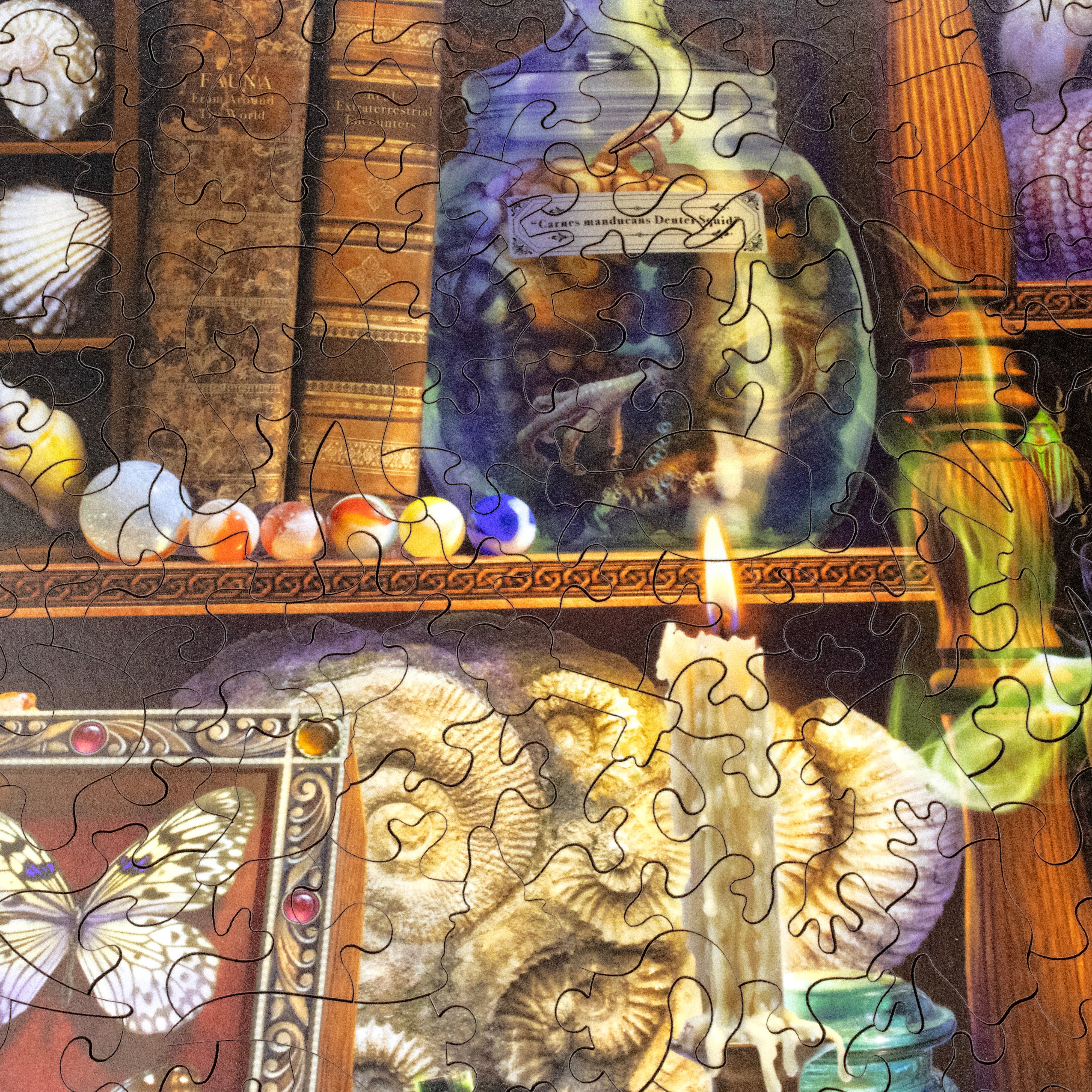 The Wonder Cabinet (500 Piece Wooden Jigsaw Puzzle) | Nautilus Puzzles