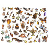 Nautilus Puzzles