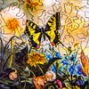 Wentworth Wooden Jigsaw Puzzle