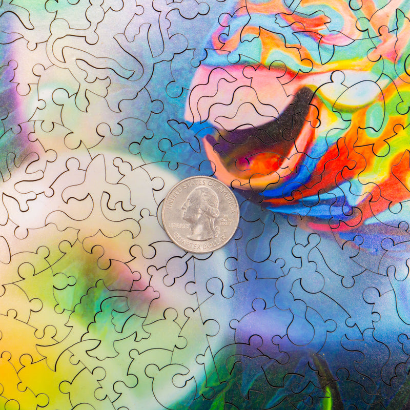 Unidragon Puzzles