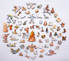 Nautilus Puzzles