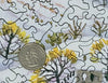 Artifact wooden puzzles
