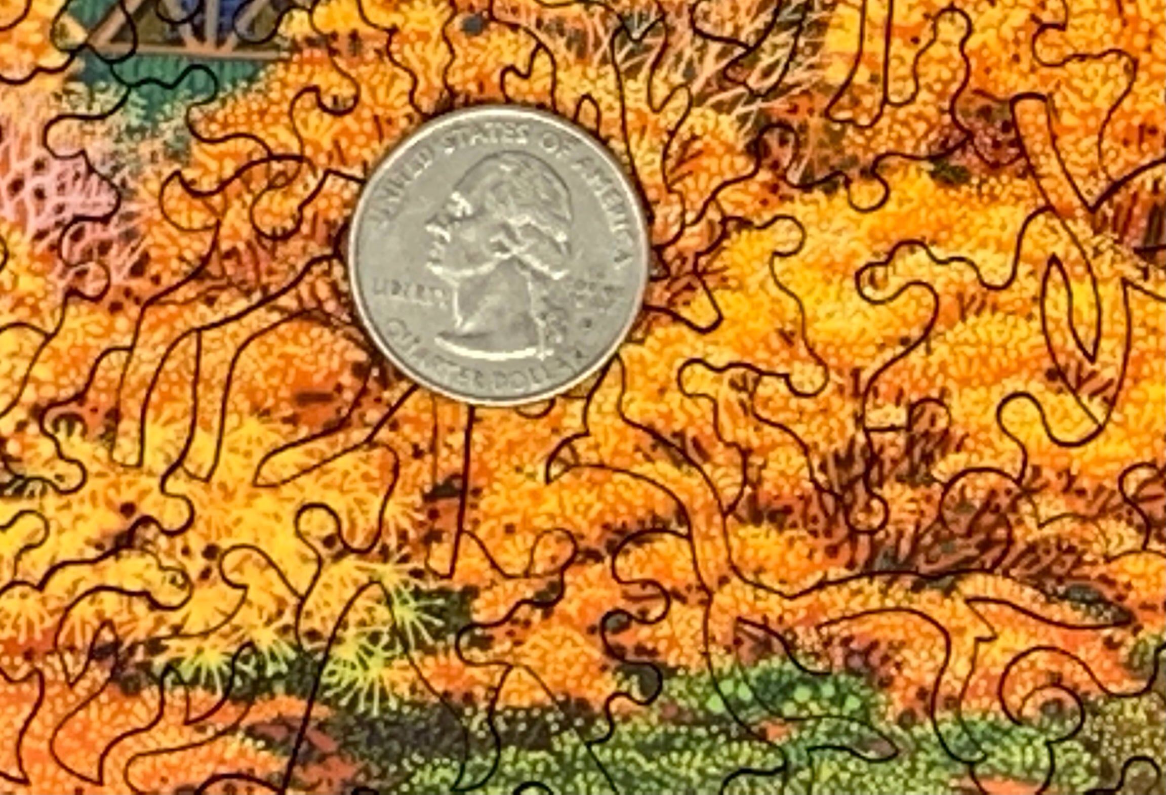 Autumn in Japan - 441 Piece Wooden Jigsaw Puzzle | Nautilus