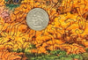 Autumn in Japan - 441 Piece Wooden Jigsaw Puzzle - Nautilus Puzzles - Wooden Jigsaw Puzzles For Adults
