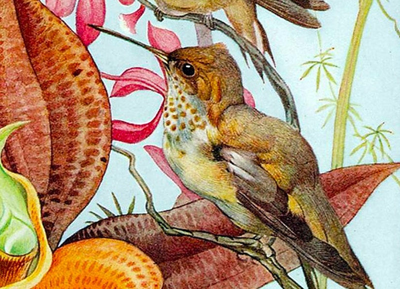 Birds & Orchids (47 Pieces) Mini Wooden Puzzle - Nautilus Puzzles - Wooden Jigsaw Puzzles For Adults