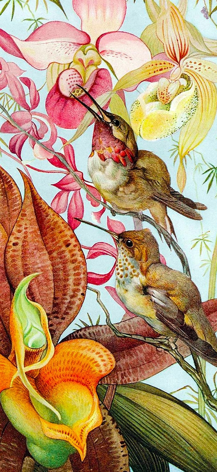 Birds & Orchids (122 Piece Adult Wooden Jigsaw Puzzle) - Nautilus Puzzles - Wooden Jigsaw Puzzles For Adults