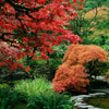 Butchart Gardens in Fall (190 Piece Fall Wooden Jigsaw Puzzle) - Nautilus Puzzles - Wooden Jigsaw Puzzles For Adults