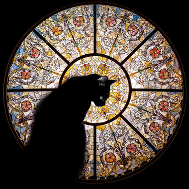 Cathedral Cat - 372 Piece Wooden Jigsaw Puzzle - Nautilus Puzzles - Wooden Jigsaw Puzzles For Adults