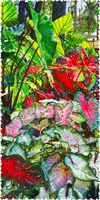  Wooden Jigsaw Puzzles For Adults