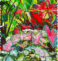 Colorful Caladiums (276 Piece Wooden Jigsaw Puzzle) - Nautilus Puzzles - Wooden Jigsaw Puzzles For Adults