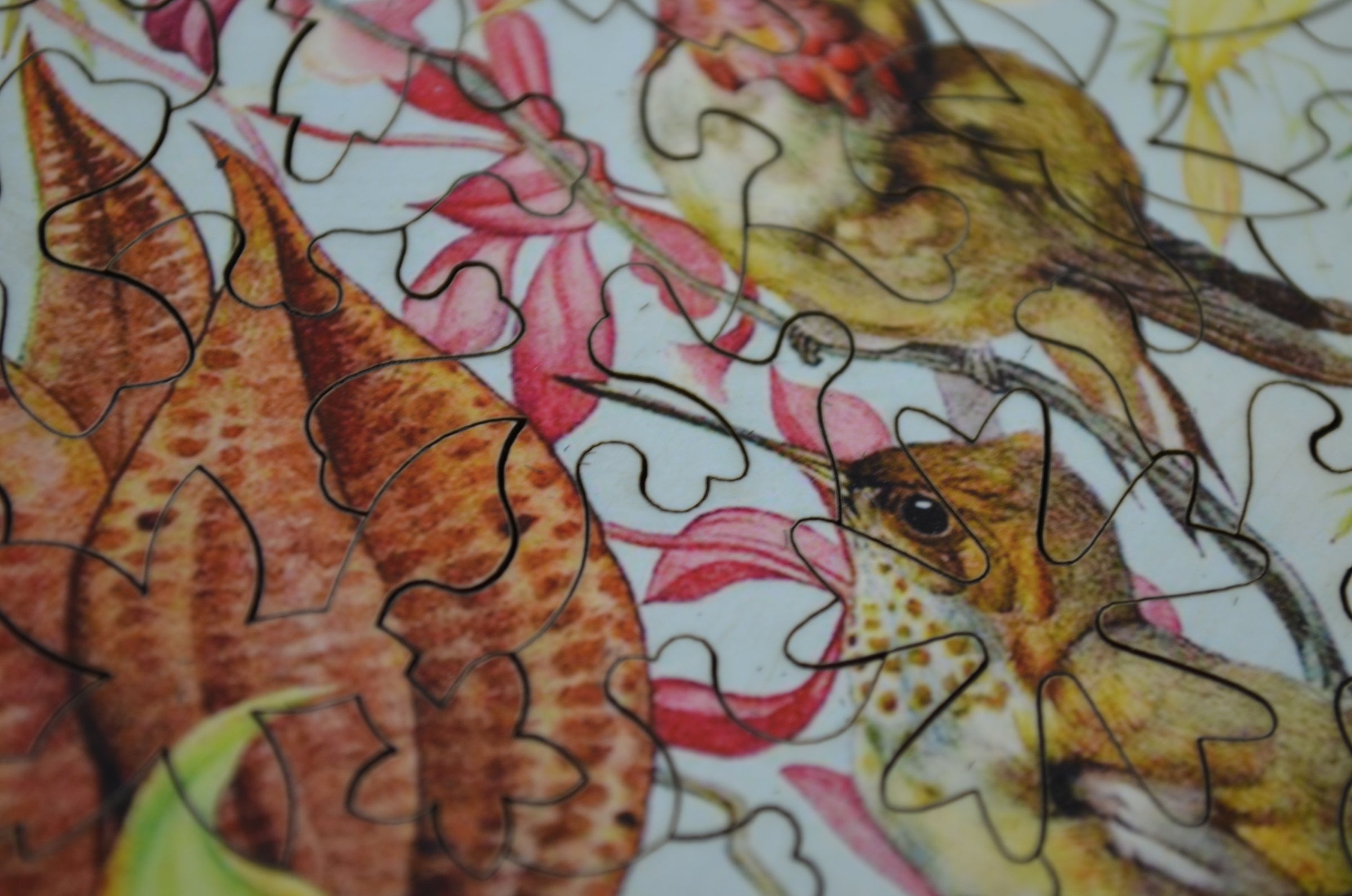 Colorful Bird Puzzle