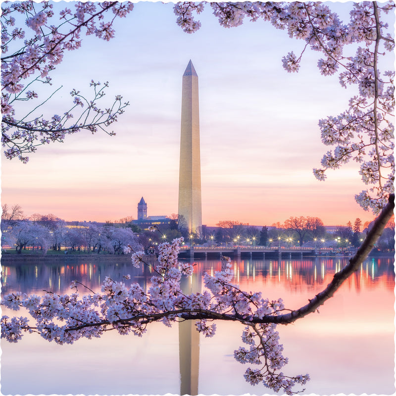 D.C. Cherry Blossoms (325 Piece Wooden Jigsaw Puzzle) - Nautilus Puzzles - Wooden Jigsaw Puzzles For Adults